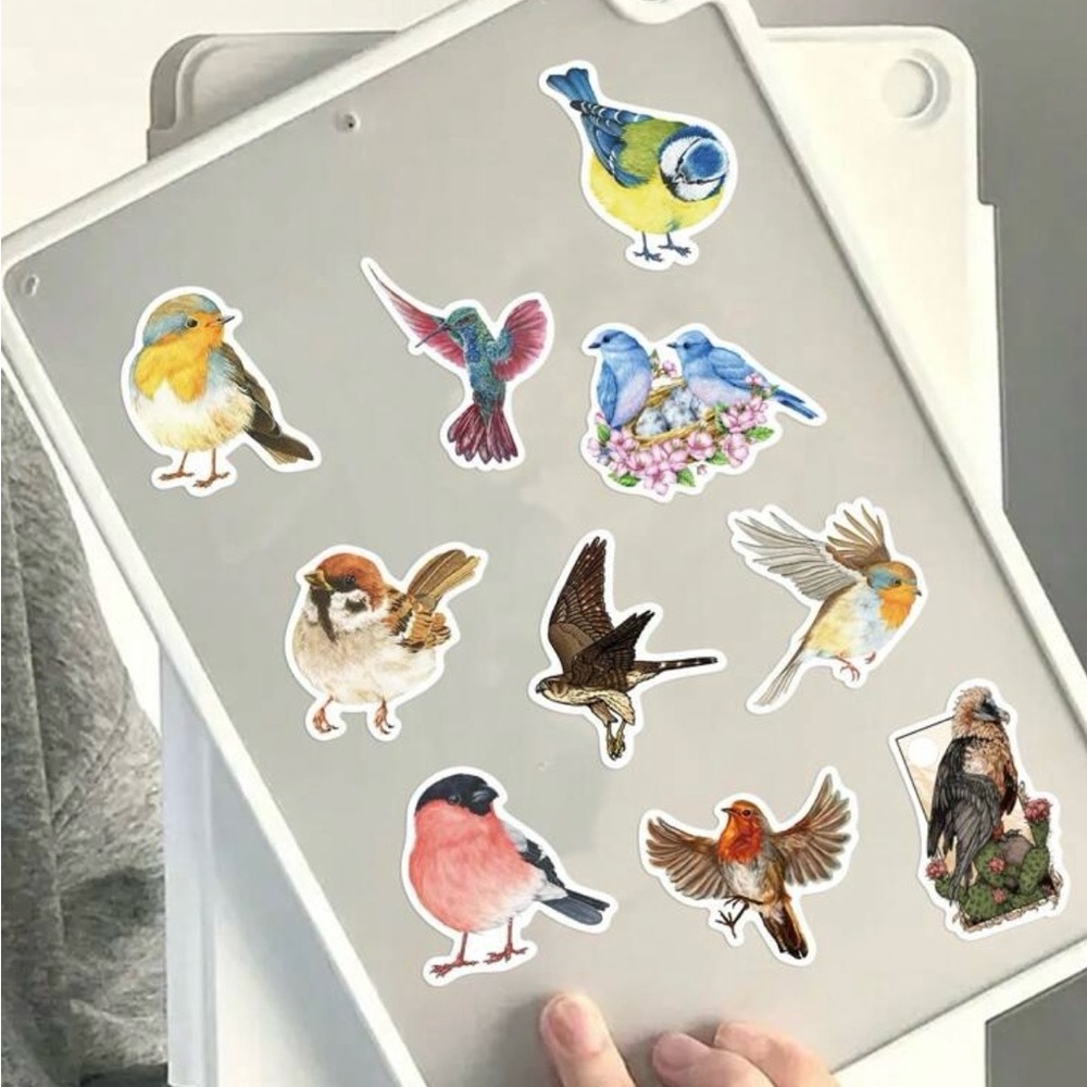 50 Colorful Bird Stickers - Picture 9 of 9
